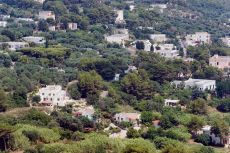 Esempio dalla galleria fotografica di Le Corti di Elena Martina