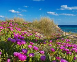 Esempio dalla galleria fotografica di Le Corti di Elena Martina